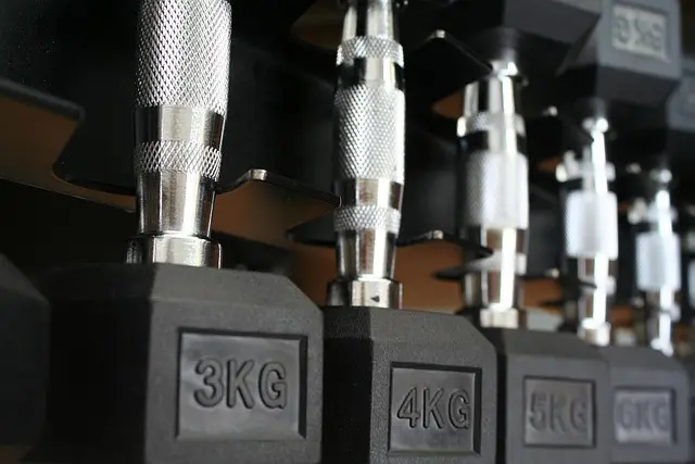 Guide d'achat : Équipement de fitness à domicile